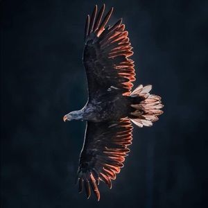 Meet your Posher, Brad